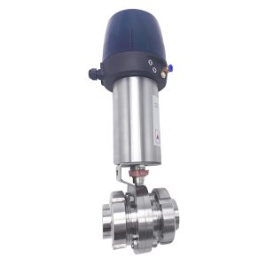 Flexible pneumatic butterfly valve with control head
