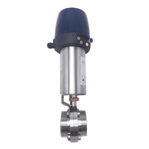 Threaded butterfly valve with control head